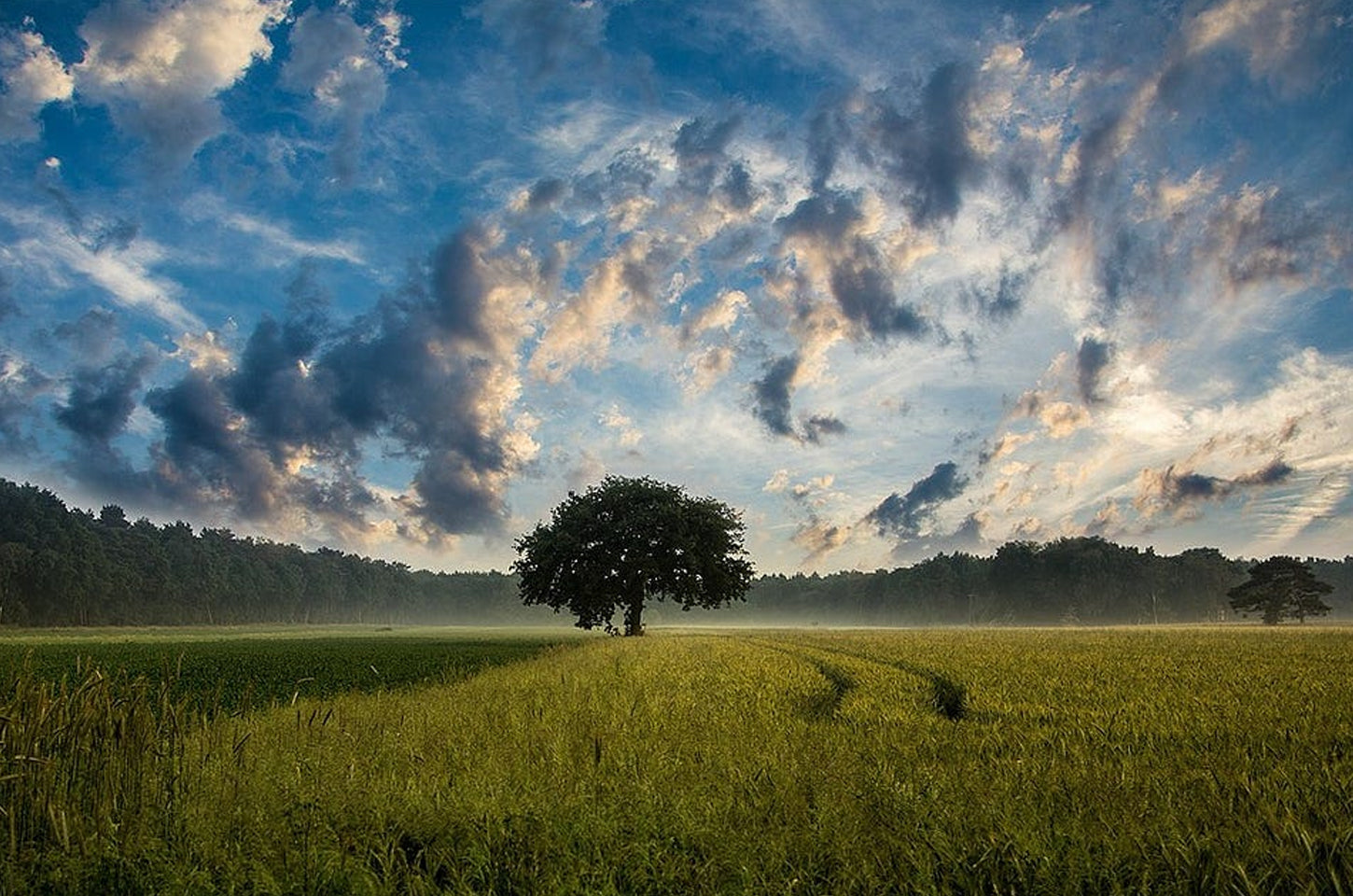 Landscape Photography Tips | Zhiyun