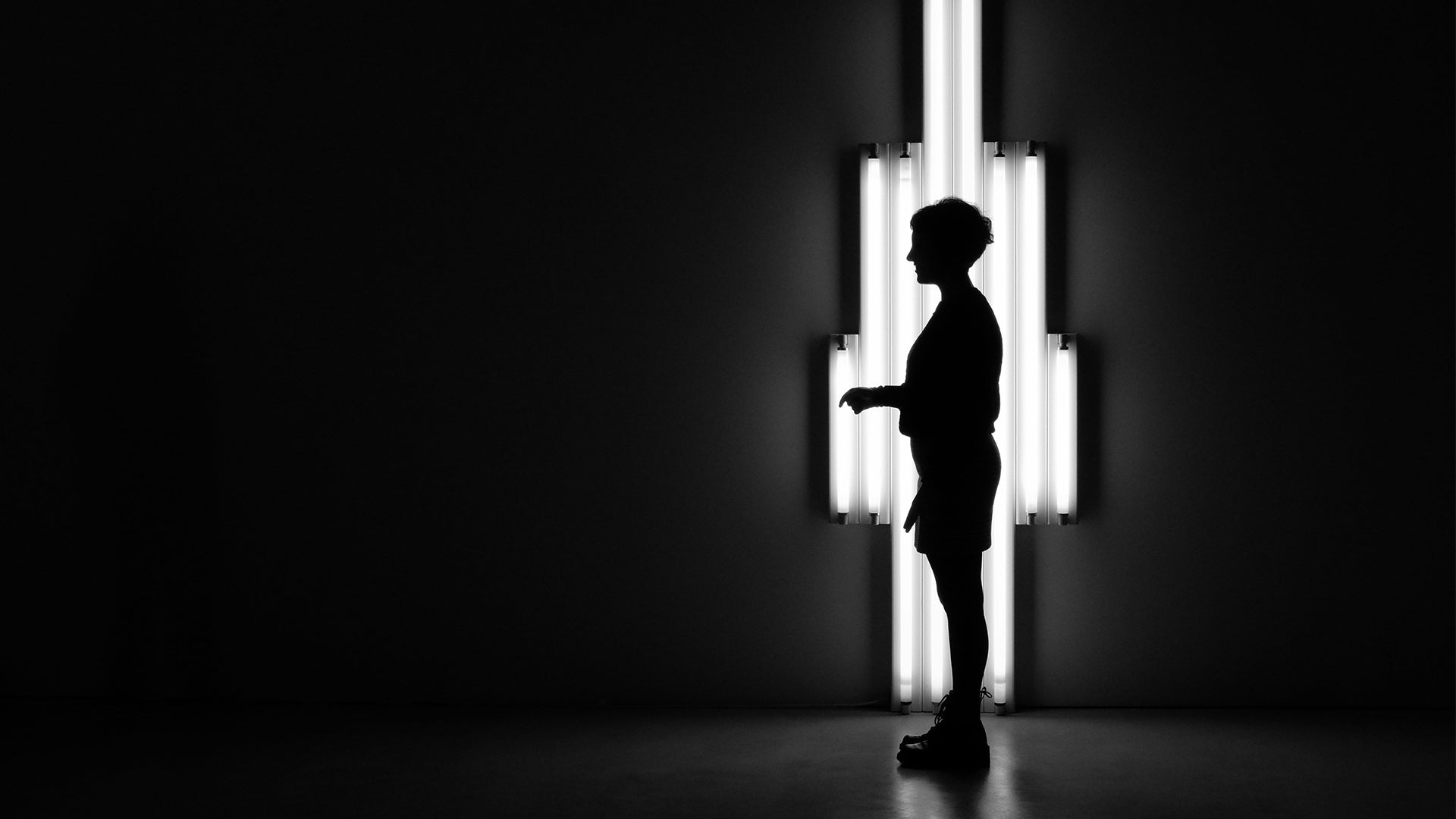 Light, Shadows, and Contrast: A Beginner’s Guide to Photography