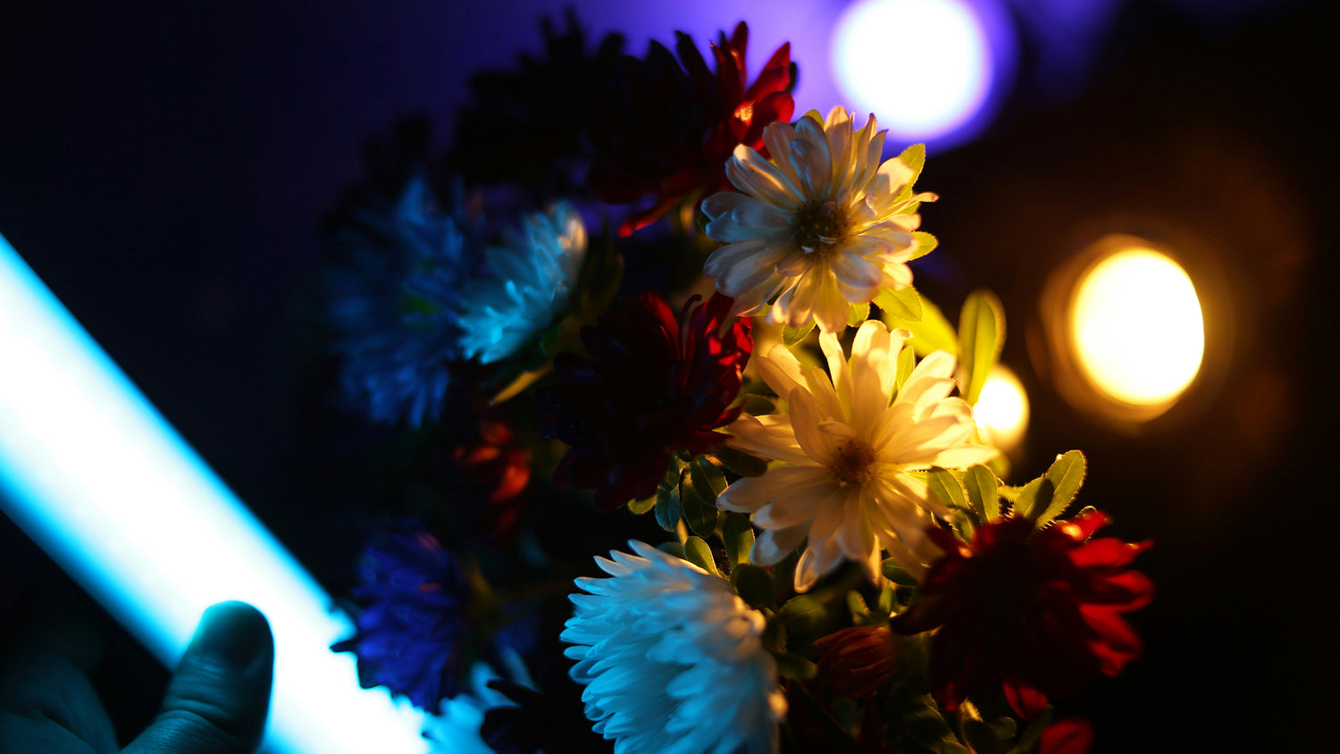 RGB Film Lights 101: Everything You Need to Know
