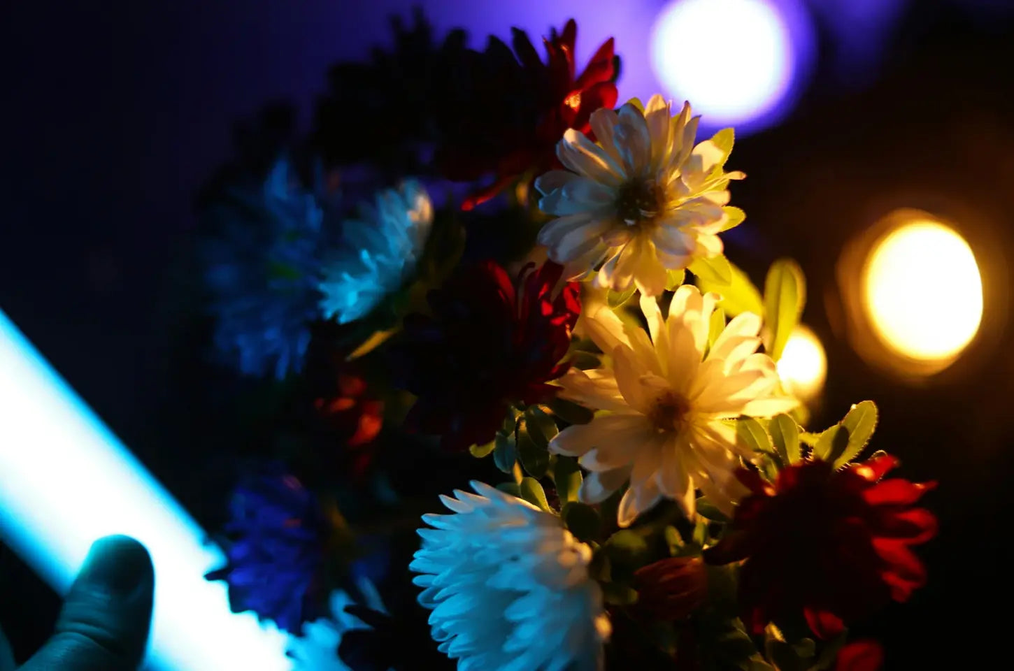 RGB Film Lights 101: Everything You Need to Know